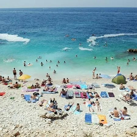 Angels Mirjana Daire